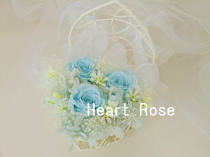 f:id:colorbless:20130921170109j:image