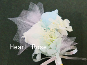 f:id:colorbless:20130930210140j:image