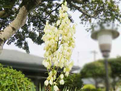 f:id:colorbless:20131003184008j:image
