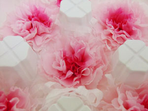 f:id:colorbless:20131009222540j:image