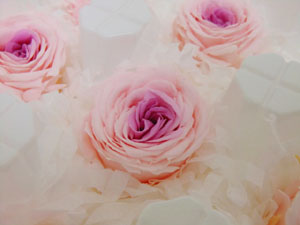 f:id:colorbless:20131009222751j:image