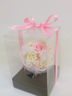 f:id:colorbless:20131026203405j:image