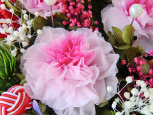 f:id:colorbless:20131103175744j:image
