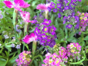 f:id:colorbless:20131105173127j:image
