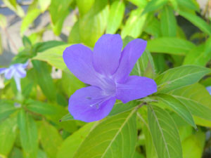 f:id:colorbless:20131105173507j:image