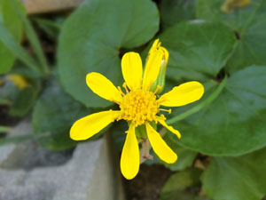 f:id:colorbless:20131105173843j:image