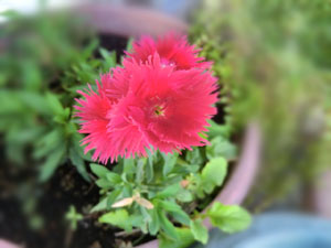 f:id:colorbless:20131118192113j:image