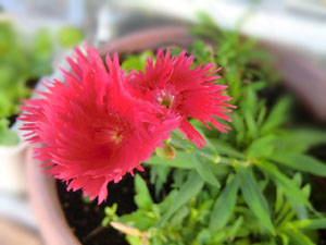 f:id:colorbless:20131118192129j:image