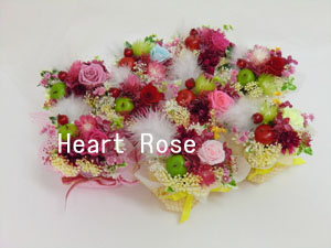 f:id:colorbless:20131228211209j:image