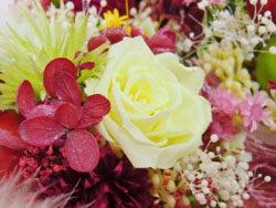f:id:colorbless:20131228211402j:image