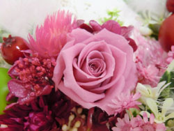f:id:colorbless:20131228211409j:image