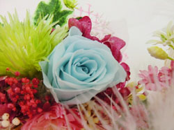 f:id:colorbless:20131228211414j:image