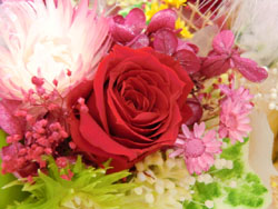f:id:colorbless:20131228211427j:image