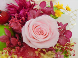 f:id:colorbless:20131228211432j:image