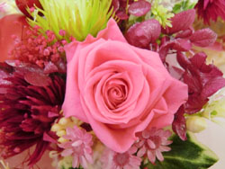 f:id:colorbless:20131228211441j:image