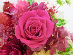 f:id:colorbless:20131228211447j:image