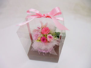 f:id:colorbless:20140116051930j:image f:id:colorbless:20140116051930j:image