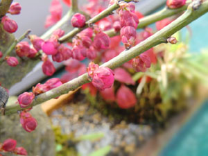 f:id:colorbless:20140126170428j:image