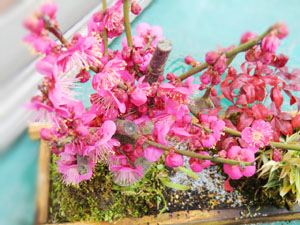 f:id:colorbless:20140129172237j:image