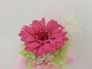 f:id:colorbless:20140205205044j:image f:id:colorbless:20140205205044j:image