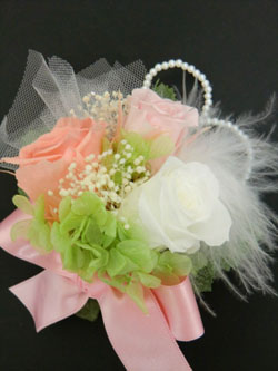 f:id:colorbless:20140222232026j:image