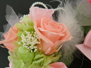 f:id:colorbless:20140225181137j:image f:id:colorbless:20140225181137j:image