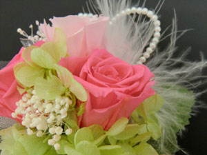 f:id:colorbless:20140225181147j:image f:id:colorbless:20140225181147j:image