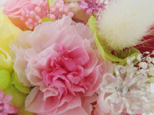 f:id:colorbless:20140301160434j:image