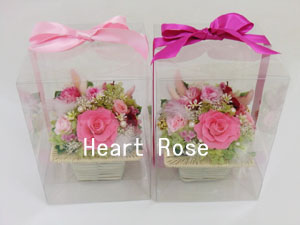 f:id:colorbless:20140301204219j:image