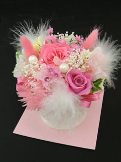 f:id:colorbless:20140308173213j:image