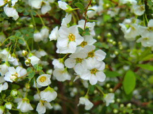 f:id:colorbless:20140312161155j:image