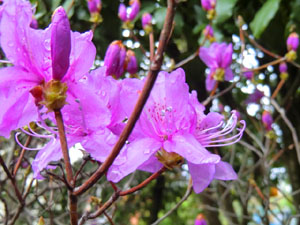 f:id:colorbless:20140319134527j:image