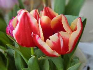 f:id:colorbless:20140319141943j:image
