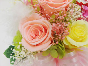 f:id:colorbless:20140320010449j:image