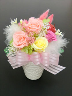 f:id:colorbless:20140320010538j:image
