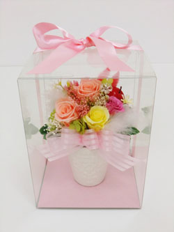 f:id:colorbless:20140320015307j:image
