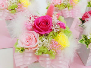 f:id:colorbless:20140323033228j:image