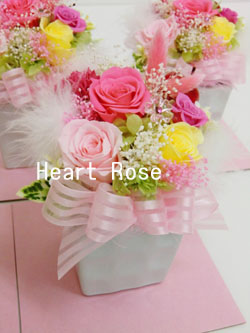 f:id:colorbless:20140323033242j:image