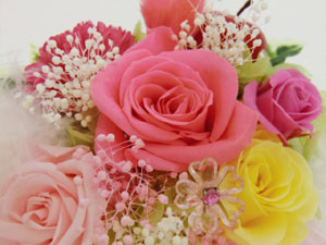 f:id:colorbless:20140323033322j:image