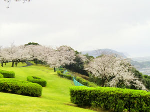 f:id:colorbless:20140325154720j:image