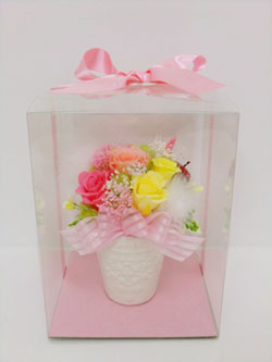 f:id:colorbless:20140326052702j:image