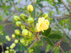 f:id:colorbless:20140326202549j:image
