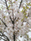 20140402144854
