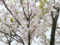 20140402144920