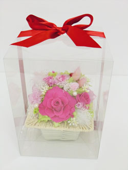 f:id:colorbless:20140411225750j:image