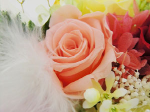 f:id:colorbless:20140427232830j:image