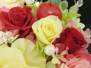 f:id:colorbless:20140427233213j:image