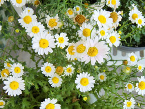 20140512165050