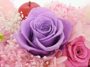 f:id:colorbless:20140530232812j:image
