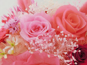f:id:colorbless:20140619160753j:image